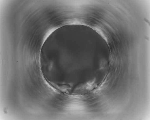 X0000098130863200805080957