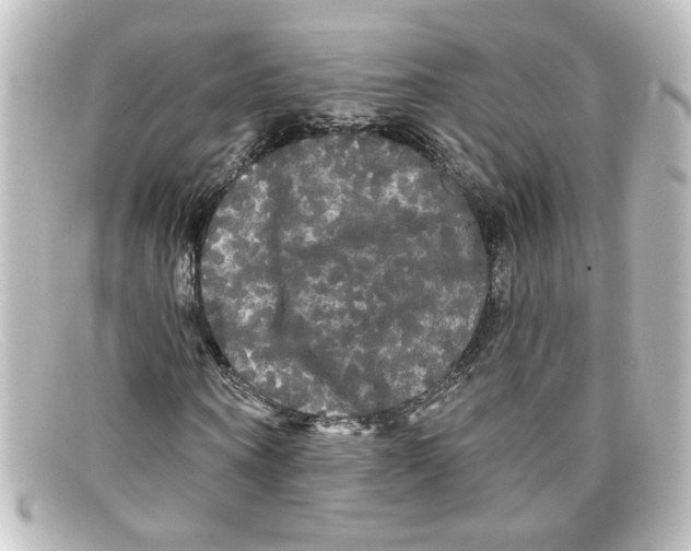 X0000098130866200805080956