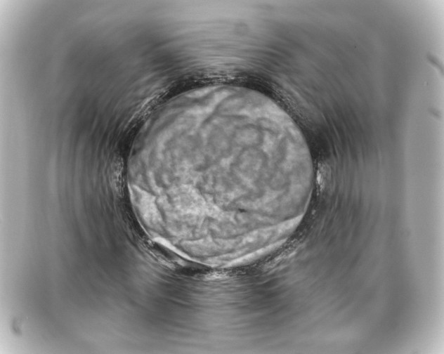 X0000098130867200805080956