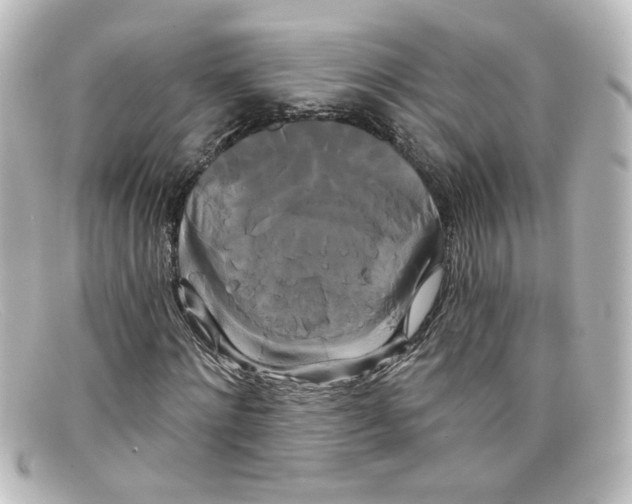X0000098130868200805080956