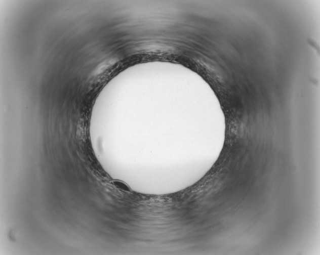 X0000098130869200805080956