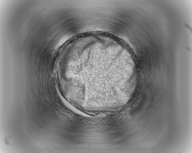 X0000098130871200805080956