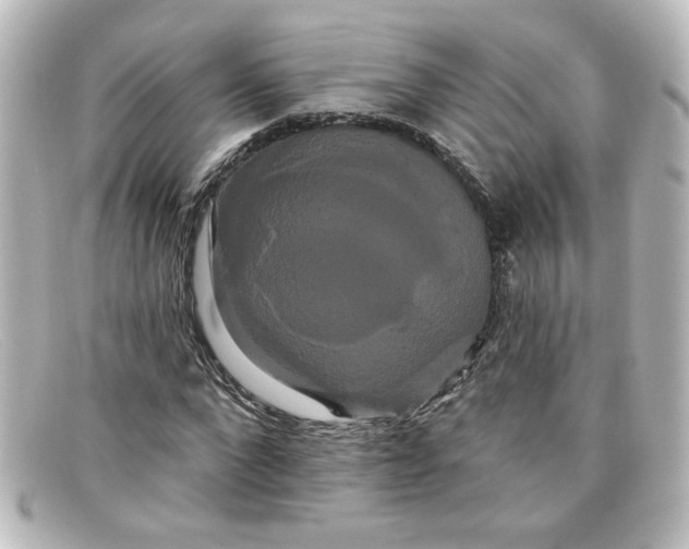X0000098130872200805080956