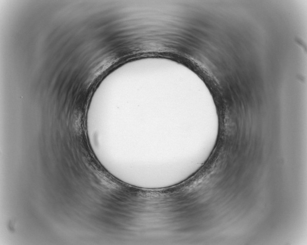 X0000098130873200805080956