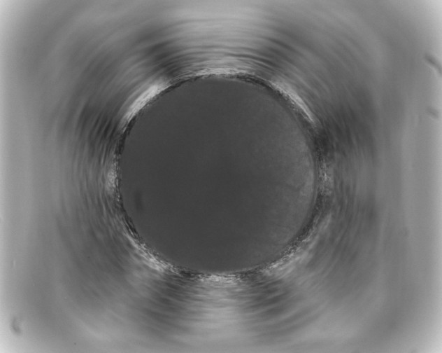 X0000098130874200805080956