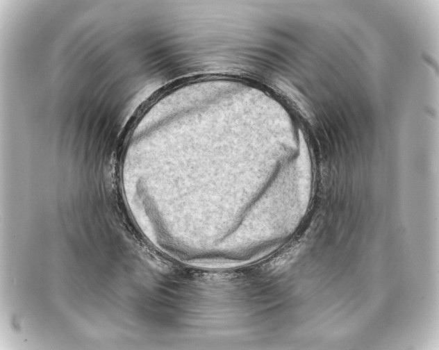 X0000098130875200805080956