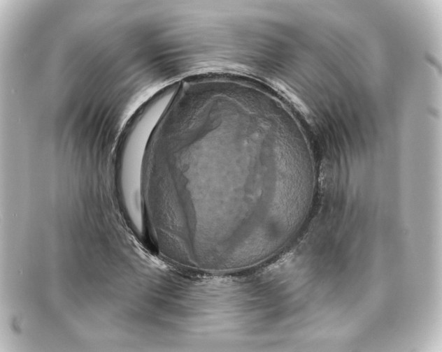 X0000098130877200805080956