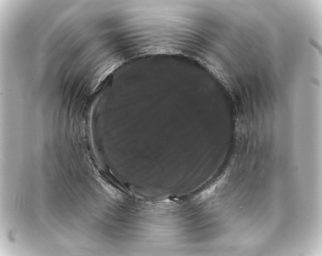 X0000098130881200805080956