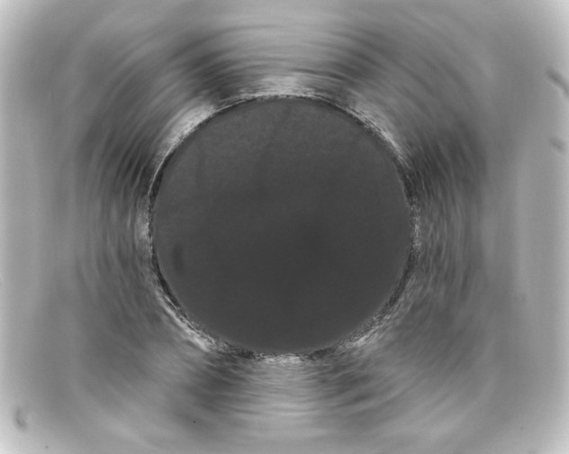 X0000098130882200805080956