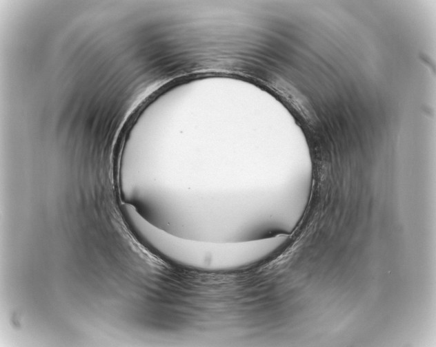X0000098130884200805080956