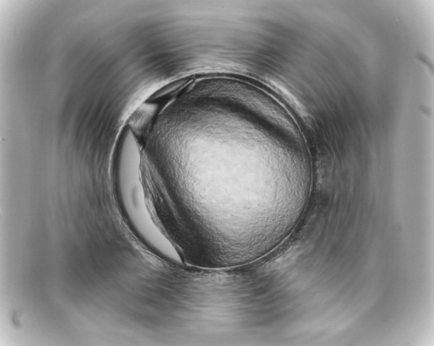 X0000098130885200805080956