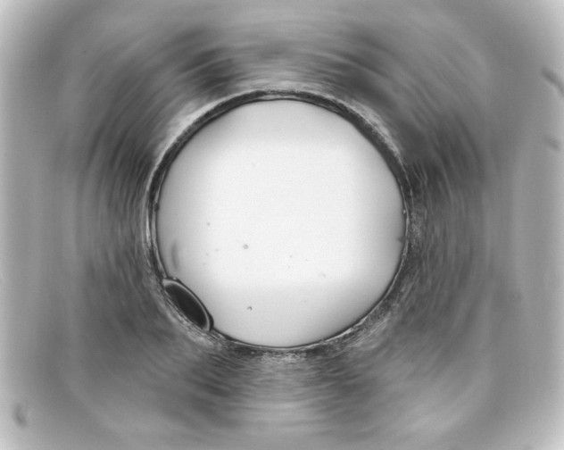 X0000098130887200805080956