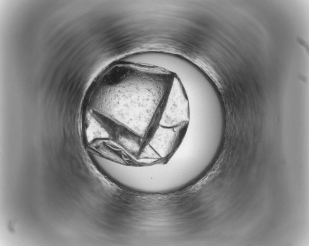 X0000098130888200805080956