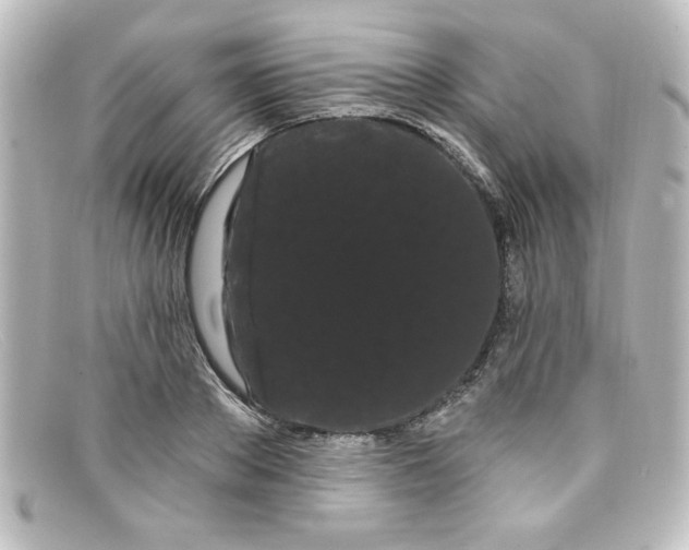 X0000098130889200805080956