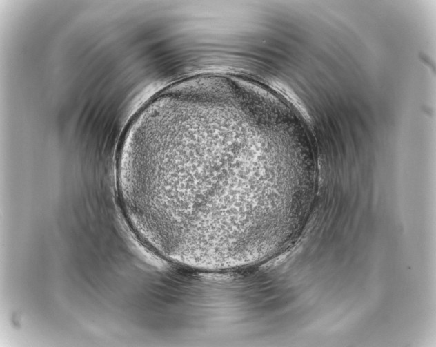 X0000098130890200805080956