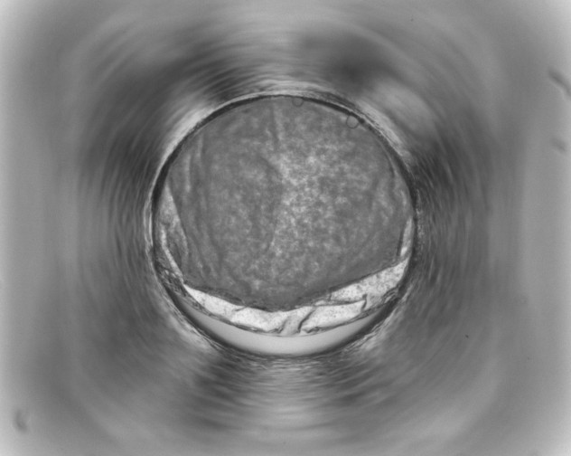 X0000098130891200805080956