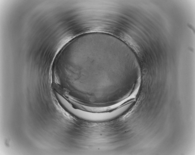 X0000098130892200805080956