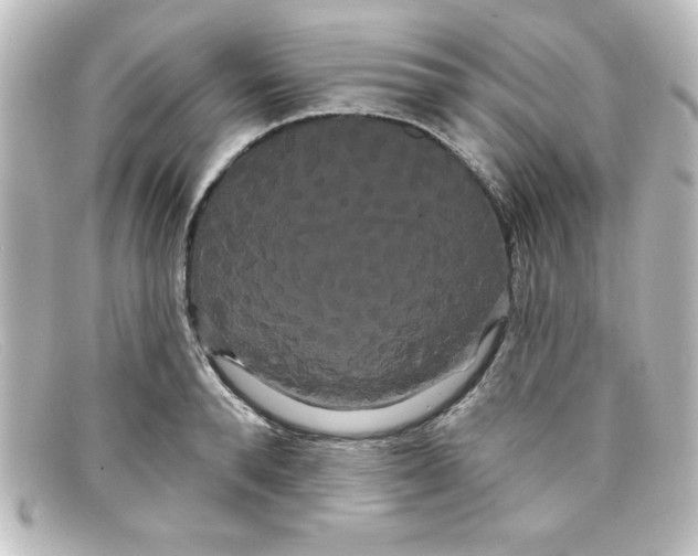 X0000098130896200805080956