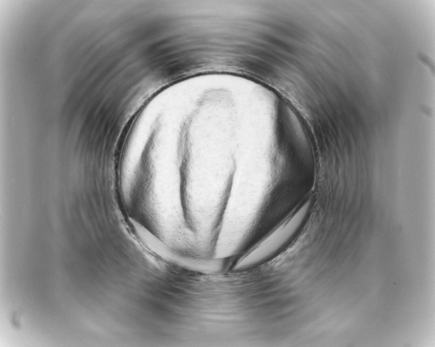 X0000098130898200805080956