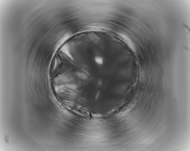 X0000098130899200805080956