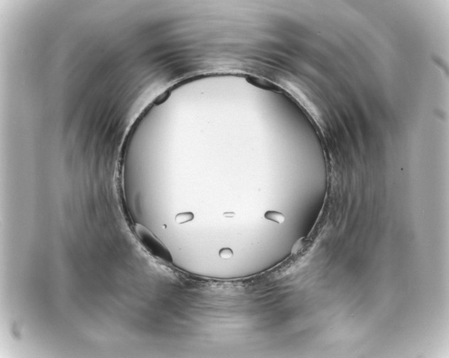 X0000098130901200805080956