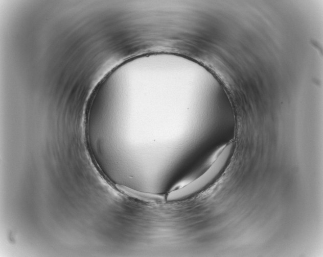 X0000098130902200805080956