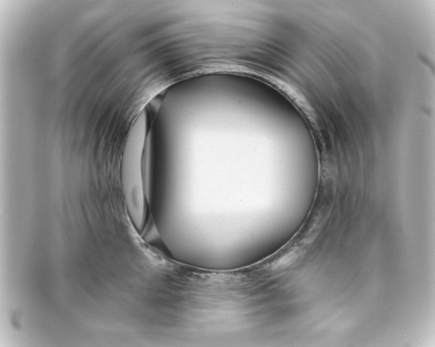 X0000098130905200805080956