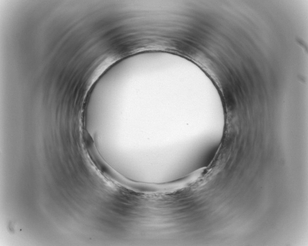 X0000098130906200805080956