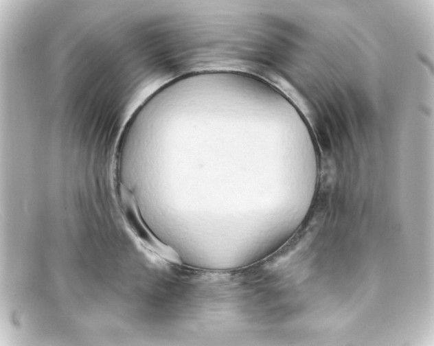 X0000098130909200805080956