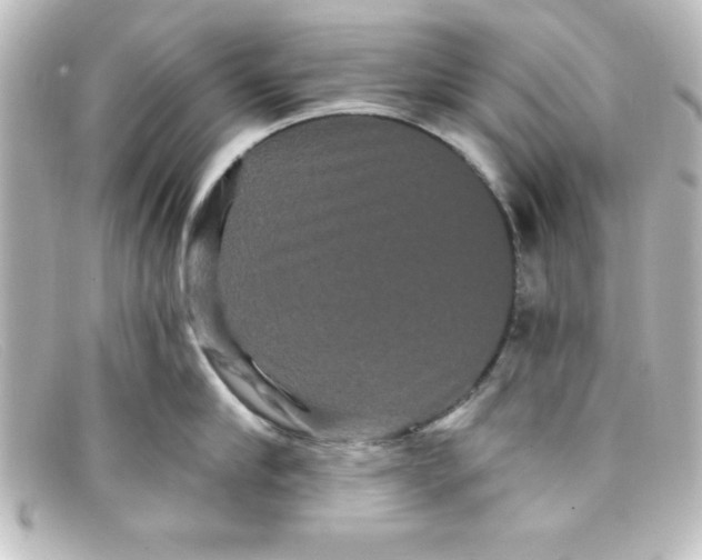 X0000098130910200805080956