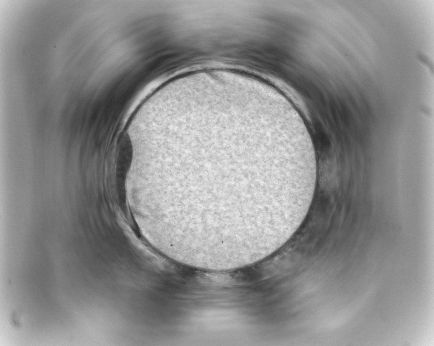 X0000098130911200805080956
