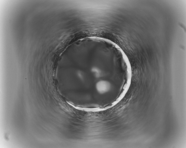 X0000098130913200805080955
