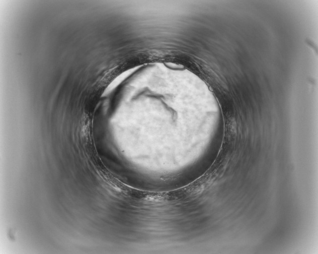 X0000098130914200805080955