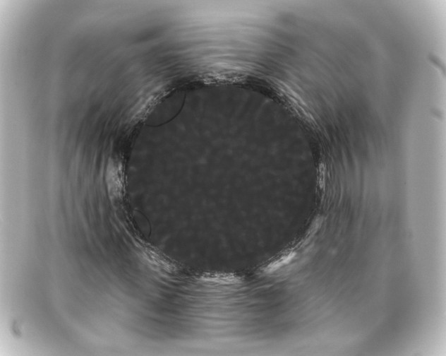 X0000098130915200805080955