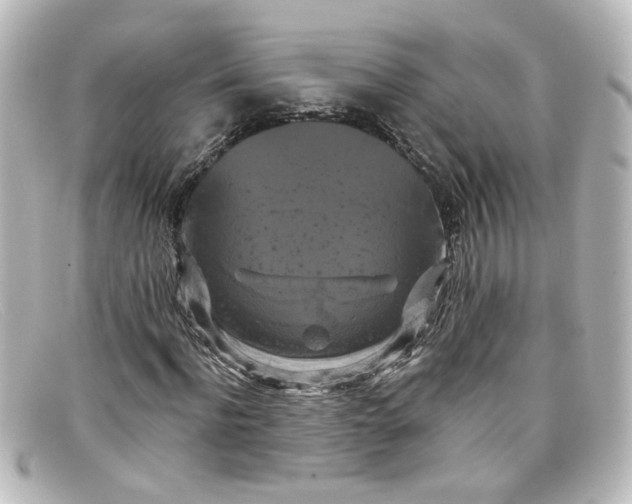 X0000098130916200805080955