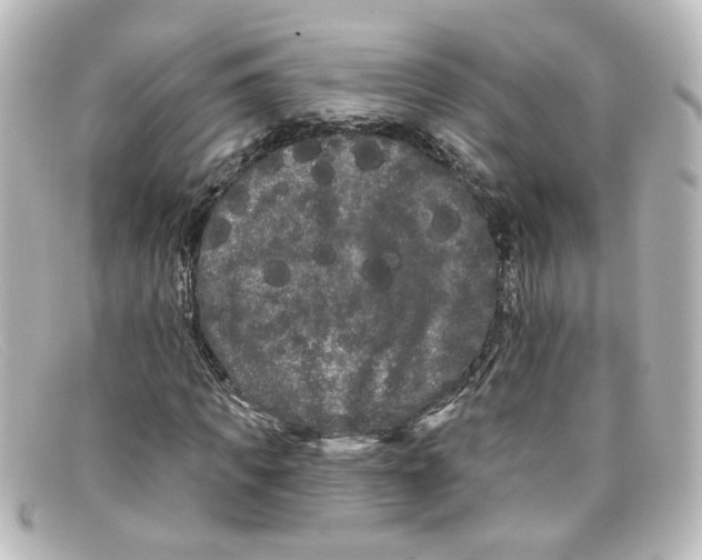 X0000098130917200805080955