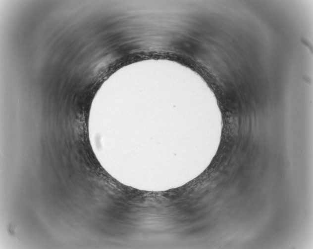 X0000098130918200805080955