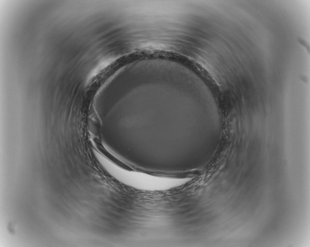 X0000098130919200805080955