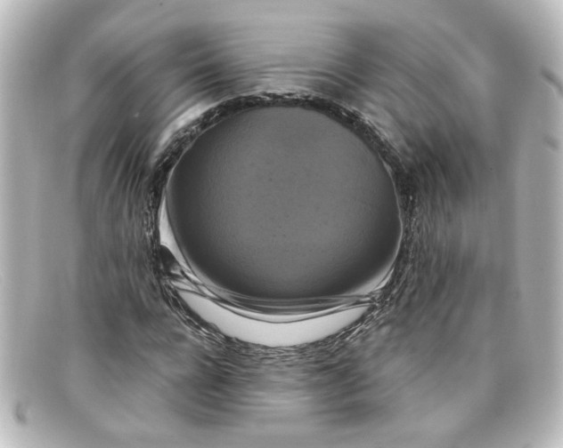 X0000098130920200805080955