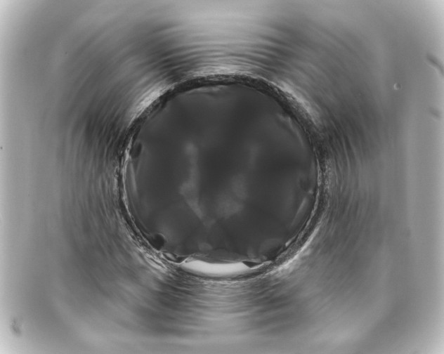 X0000098130921200805080955