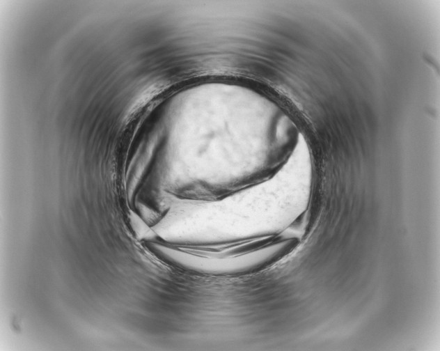 X0000098130922200805080955