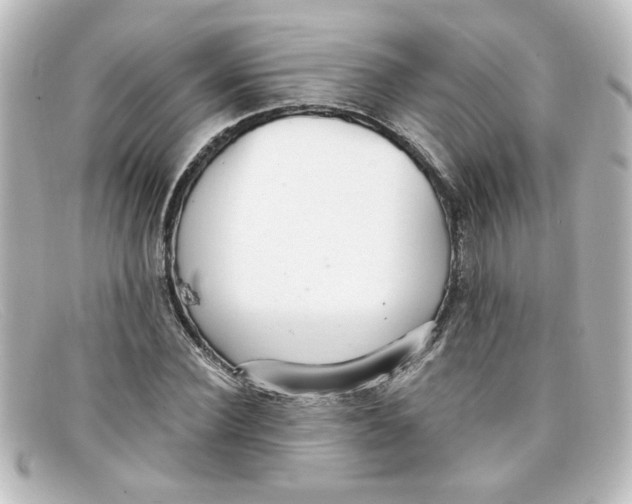 X0000098130924200805080955