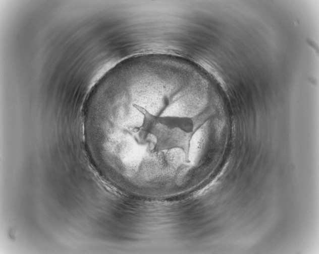 X0000098130925200805080955