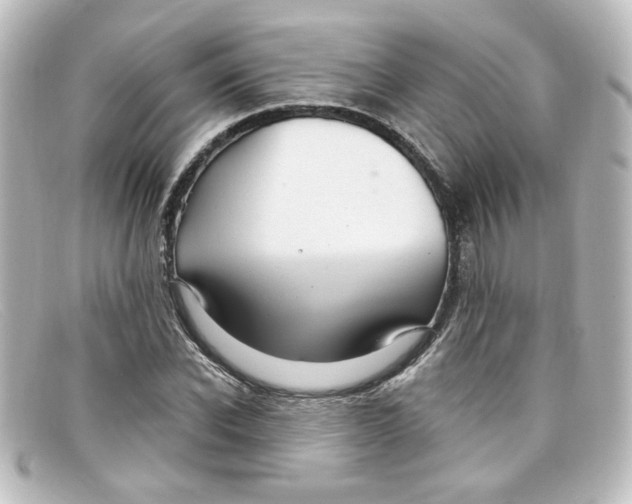 X0000098130926200805080955