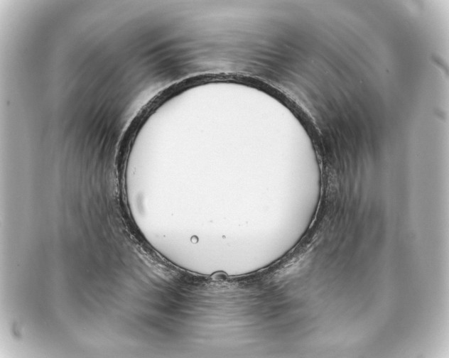 X0000098130927200805080955
