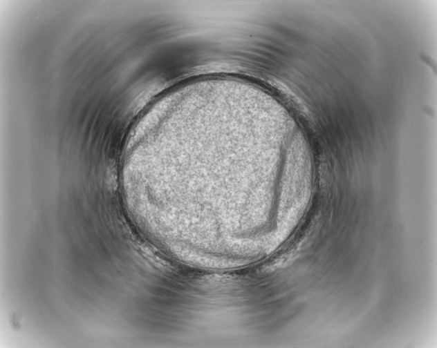X0000098130929200805080955