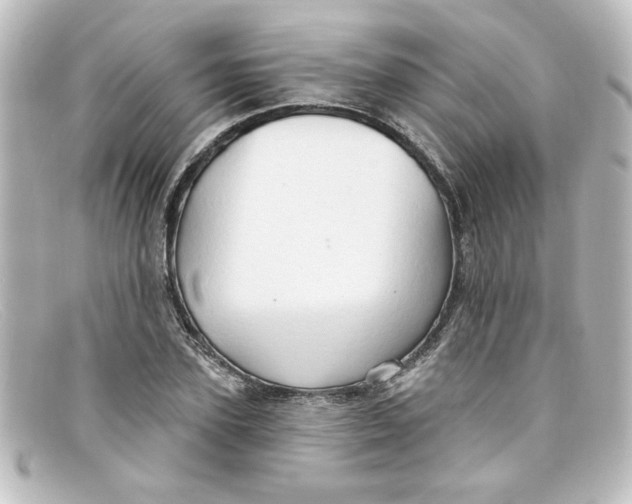 X0000098130931200805080955
