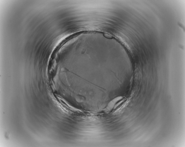 X0000098130932200805080955