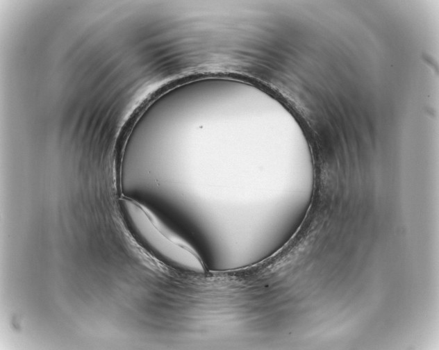 X0000098130934200805080955