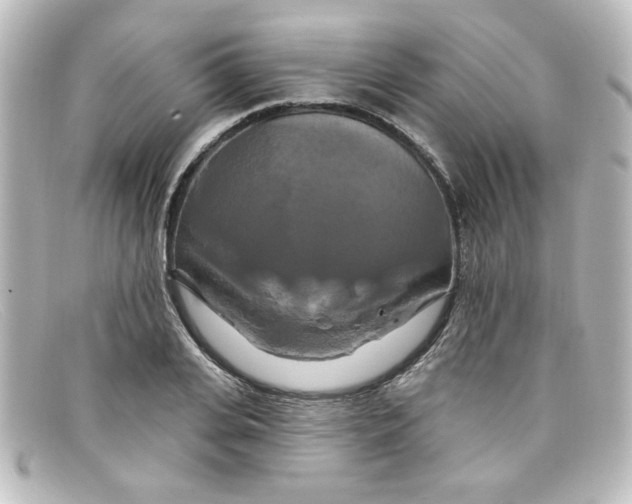 X0000098130935200805080955
